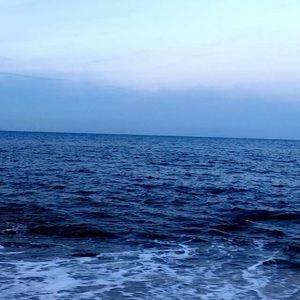 Meet your Posher, Sophia